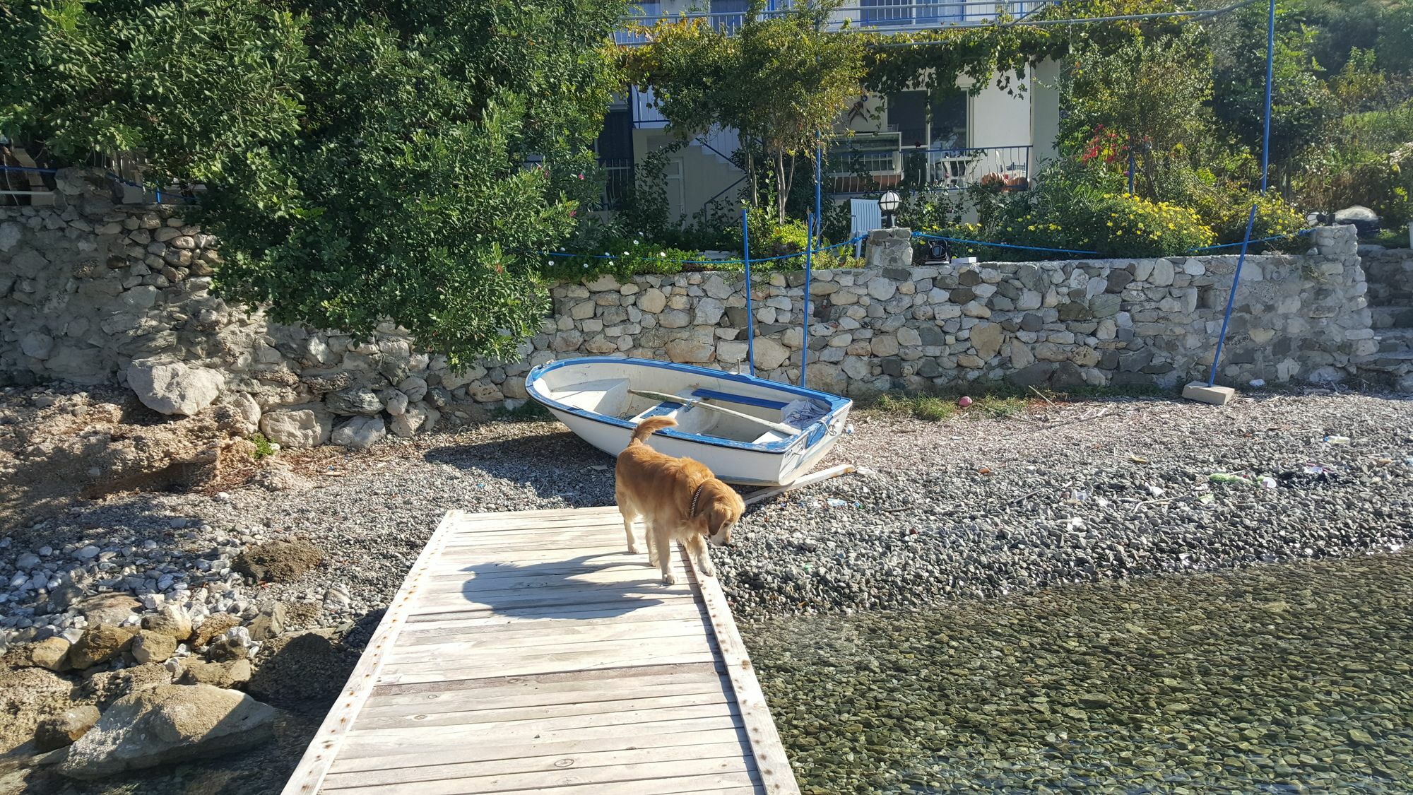 Mavi Akvaryum Otel Selimiye  Eksteriør billede